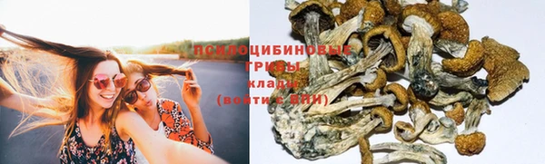 скорость Кинешма