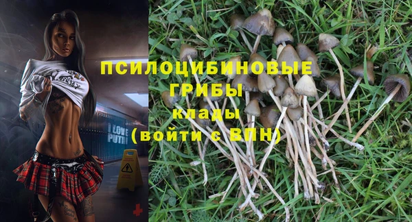 PSILOCYBIN Киренск