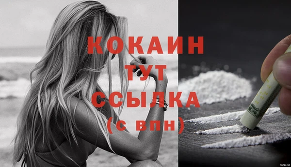 PSILOCYBIN Киренск