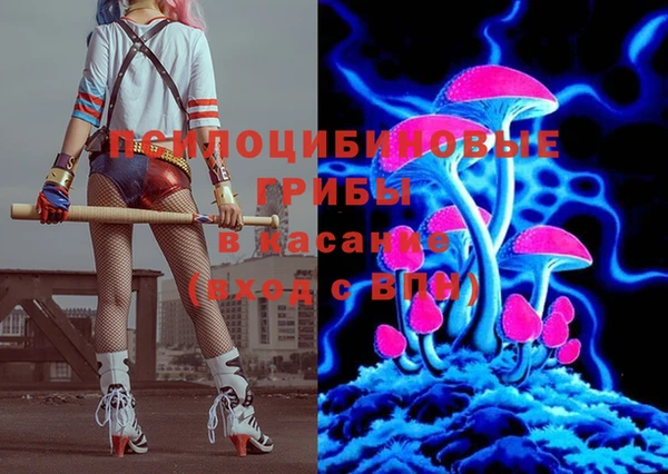apvp Киреевск