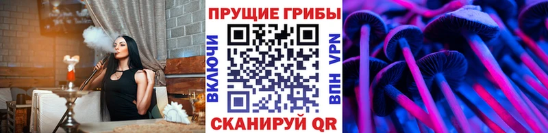 Купить  Буйнакск  Псилоцибиновые грибы ЛСД 