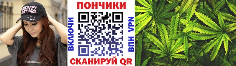 Шишки марихуана Amnesia Буйнакск