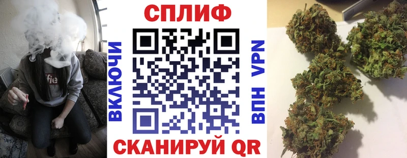 Каннабис ГИДРОПОН  Купить закладки  Буйнакск 